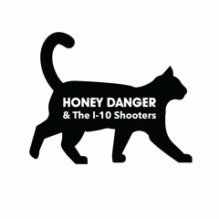 Honey Danger and the I-10 Shooters