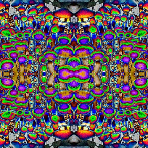 Stream Shroom Trip by Apkallu Listen online for free on SoundCloud