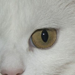 Tama