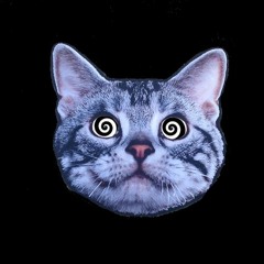 Tipper - in the natch / Special ed - i got it made