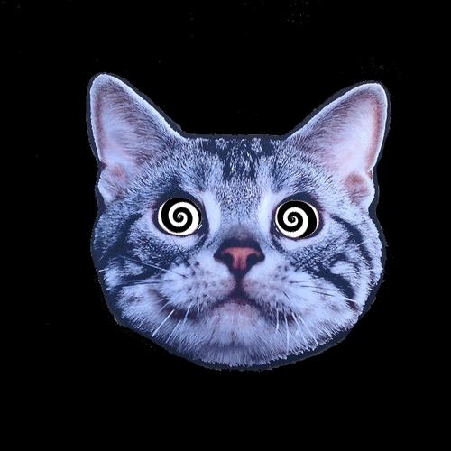 Tipper - in the natch / Special ed - i got it made