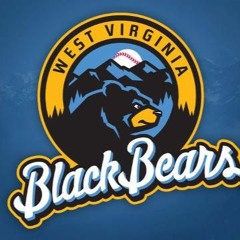 West Virginia Black Bears