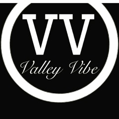 Project_Made Valley Vibe