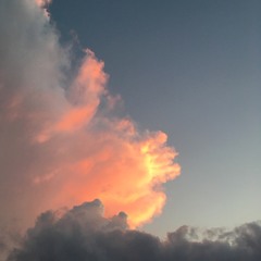 soi·rée for Spring