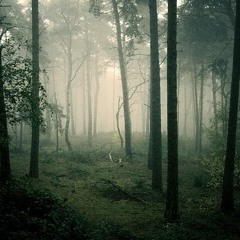 druidb