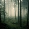 druidb