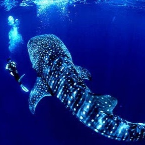 Bade Achche Lagte Hain - Amit Kumar