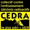 cedra cedra