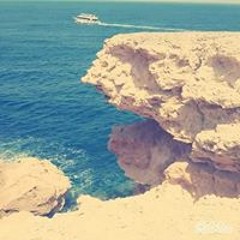 Mostafa N Mohy