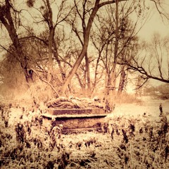 Herr Hubertus Merkwürdig