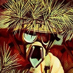 𝒑𝒊𝒎𝒆𝒄𝒐𝒓𝒑, 𝑳𝑳𝑪.