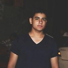 Hossam M Ma'moun