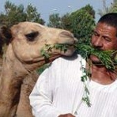 شعبي
