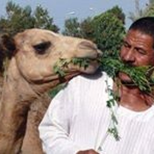 شعبي