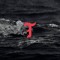 Trayfee