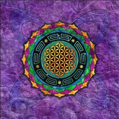 Magdalena Ciesielska 3