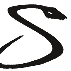 Peter Nicolaus Suess