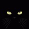 blackcat