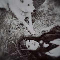 SonjaAlexandraDrakulich