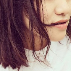 zhang lu