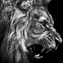 LionzDen Productionz