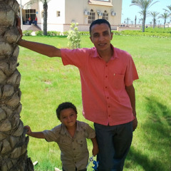 ‫محمد حسن الفرجانى‬‎