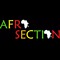 AfroSection