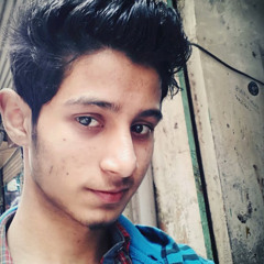 Mughal Mohsin