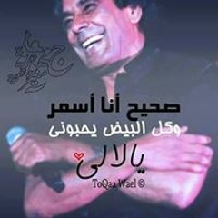 Waleed El Noby