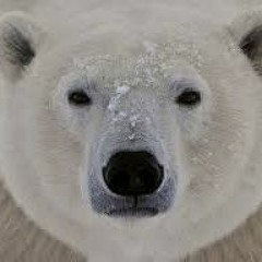 คลังเสียงคุณลุง