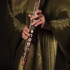 Katja Pitelina flute