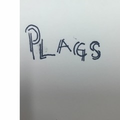PLAGS