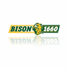 Bison 1660
