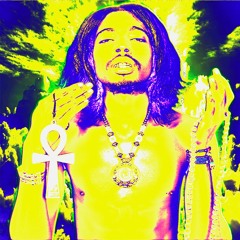 Sheikh Makki #YwY (2.0)