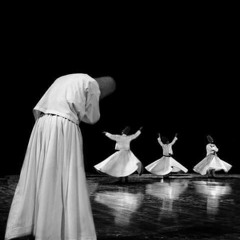 Nigel Stanford.......Cymatics By Mina Nabih