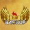 banda_backup