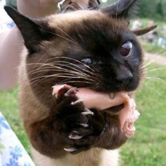 Павел Волынец