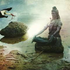 Pradeep Gowda