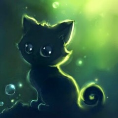 Adventure cat