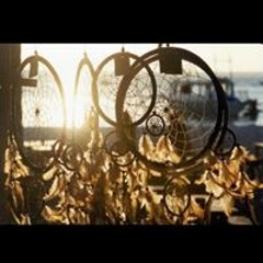 شدو أحمد حمدى