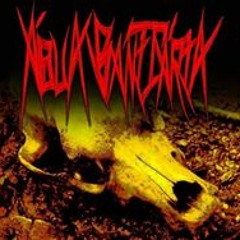 Água Sanitária Banda