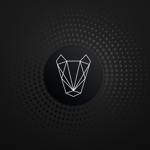 Black Hund Records’s avatar