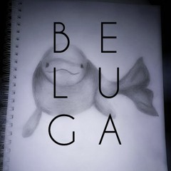 follow my new account