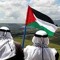 فادي بركات
