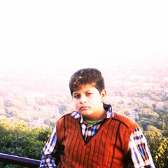 Afaq Ally Gill