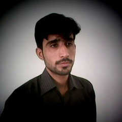 Adeel Ali Syed