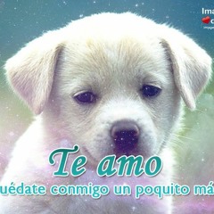 Solo Tiene 15 Años.junco Y Hungara.wmv