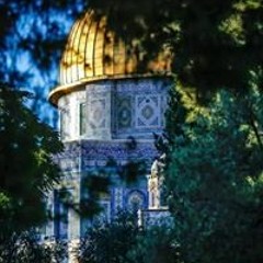 حن