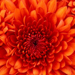 Christine Laferriere