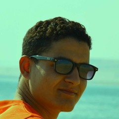 Mohamed Ramadan 25